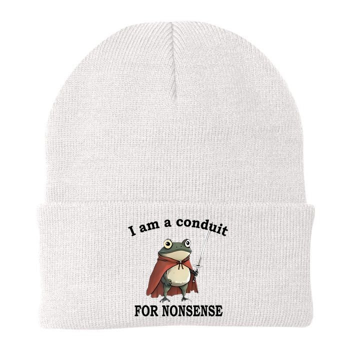 I Am A Conduit For Nonsense Funny Frog With Sword Beanie