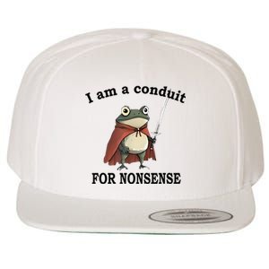 I Am A Conduit For Nonsense Funny Frog With Sword Wool Snapback Cap