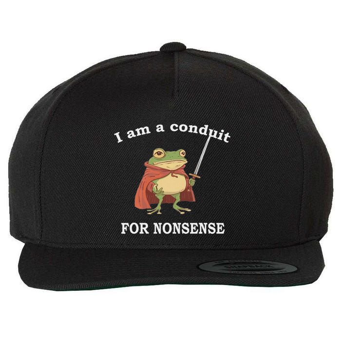 I Am A Conduit For Nonsense Funny Frog With Sword And Red Wool Snapback Cap
