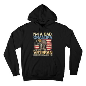 I Am A Dad Grandpa And A Veteran Nothing Scares Me Hoodie