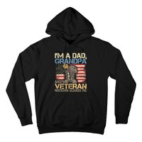 I Am A Dad Grandpa And A Veteran Nothing Scares Me Hoodie