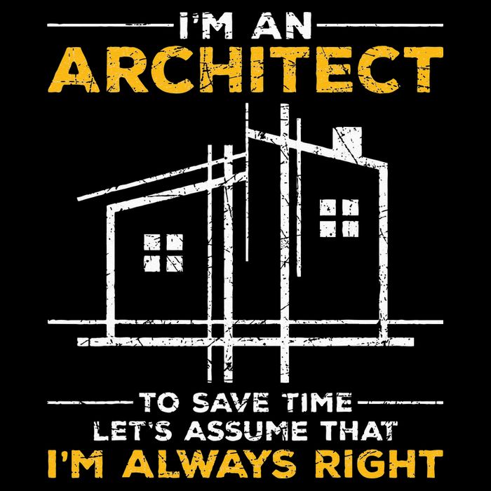 Im An Architect Architecture Funny Architect Performance Shirt