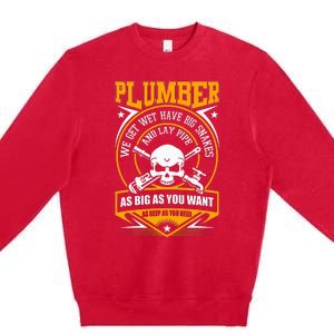 I Am A Plumber I Can Lay Pipe Premium Crewneck Sweatshirt