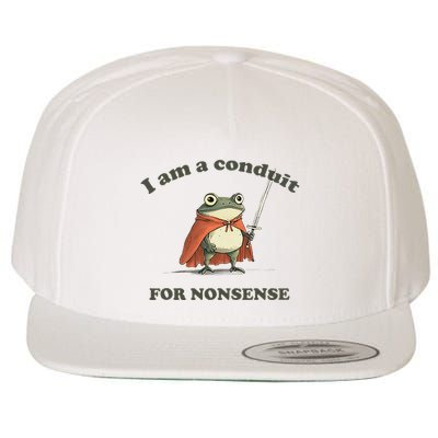 I Am A Conduit For Nonsense Funny Frog Wool Snapback Cap