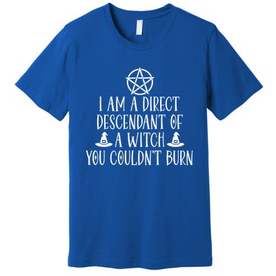 I Am A Direct Descendant Of A Witch Pentacle Meaningful Gift Premium T-Shirt