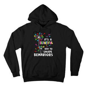 It's A Beautiful Day To Shape Behaviors Special Education Autism Awareness Hoodie