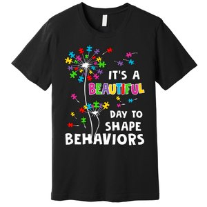 It's A Beautiful Day To Shape Behaviors Special Education Autism Awareness Premium T-Shirt