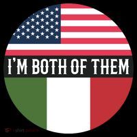 I Am Both Of Them American And Italian Flags Sweatshirt
