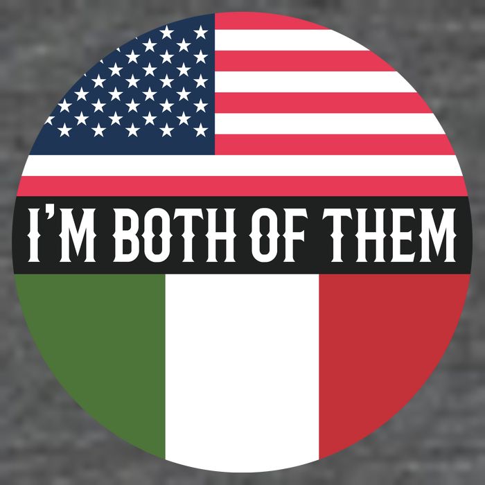 I Am Both Of Them American And Italian Flags T-Shirt