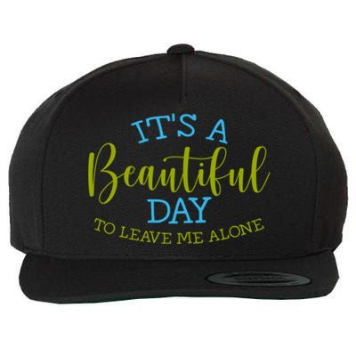 Its A Beautiful Day To Leave Me Alone Sarcastic Funny Meme Meaningful Gift Wool Snapback Cap