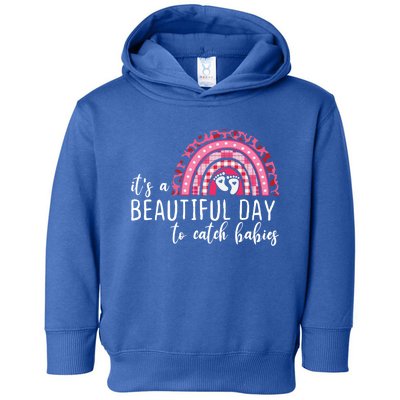 It's A Beautiful Day To Catch Babies Best Obgyn Midwife Ob Gift Toddler Hoodie