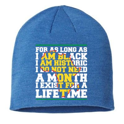 I Am Black History Lifetime Cool Black History Month Gift Sustainable Beanie