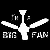 I'm a Big Fan Ceiling Fan  Pom Pom 12in Knit Beanie