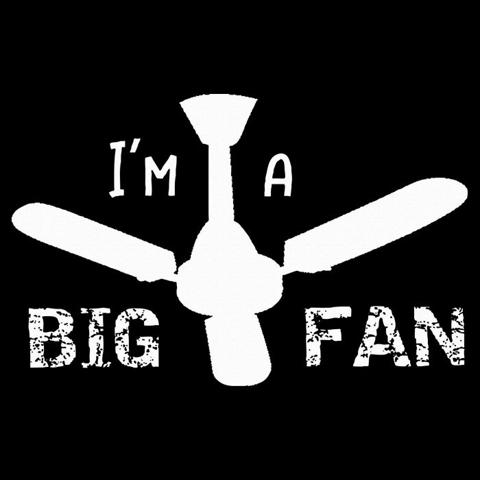 I'm a Big Fan Ceiling Fan  Pom Pom 12in Knit Beanie