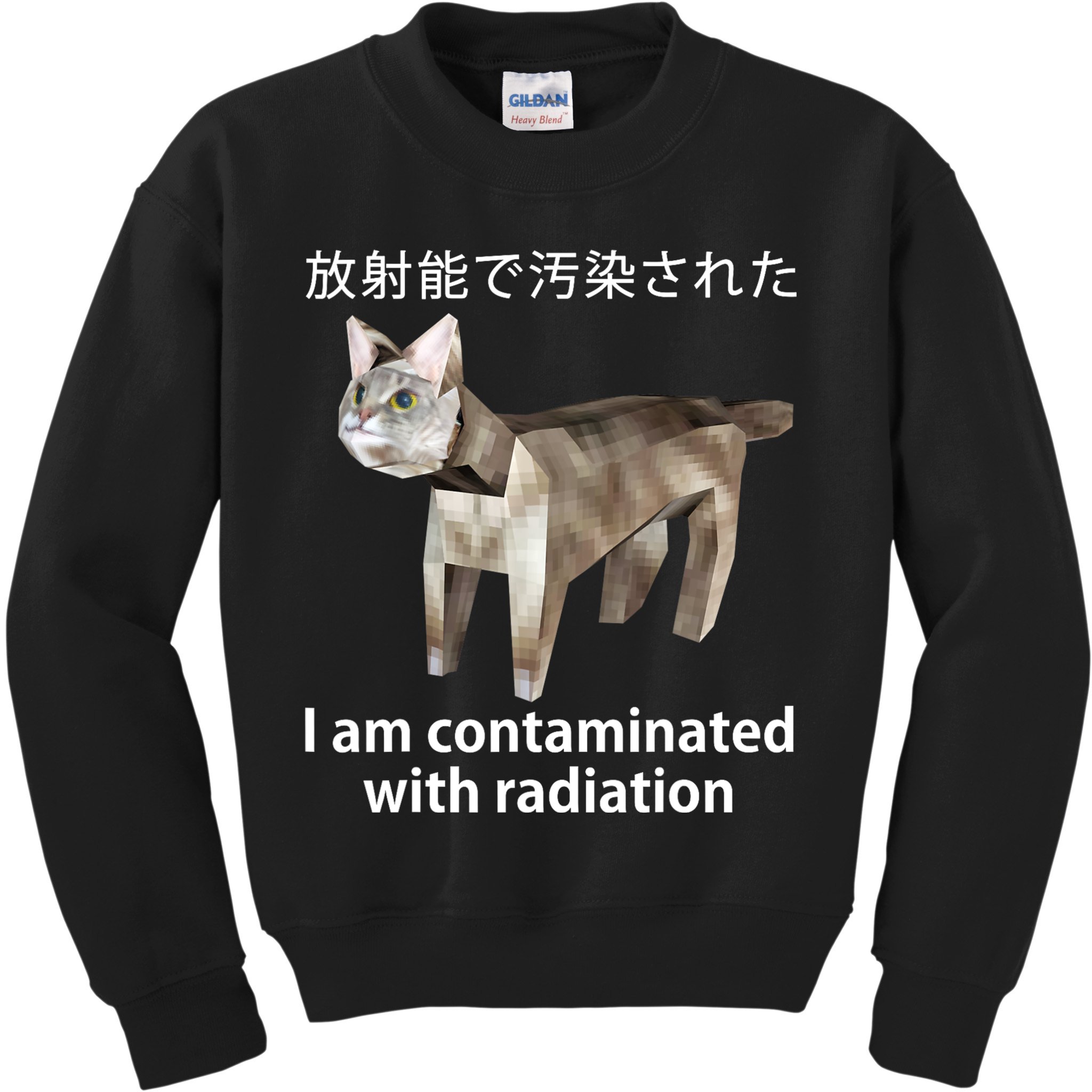I Am Contaminated With Radiation Japanese Cat Kids Sweatshirt