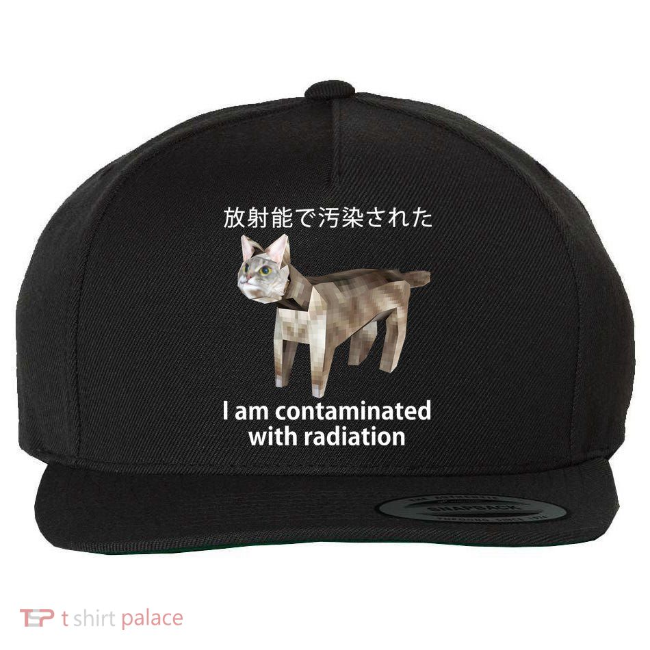 I Am Contaminated With Radiation Japanese Cat Wool Snapback Cap