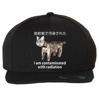 I Am Contaminated With Radiation Japanese Cat Wool Snapback Cap