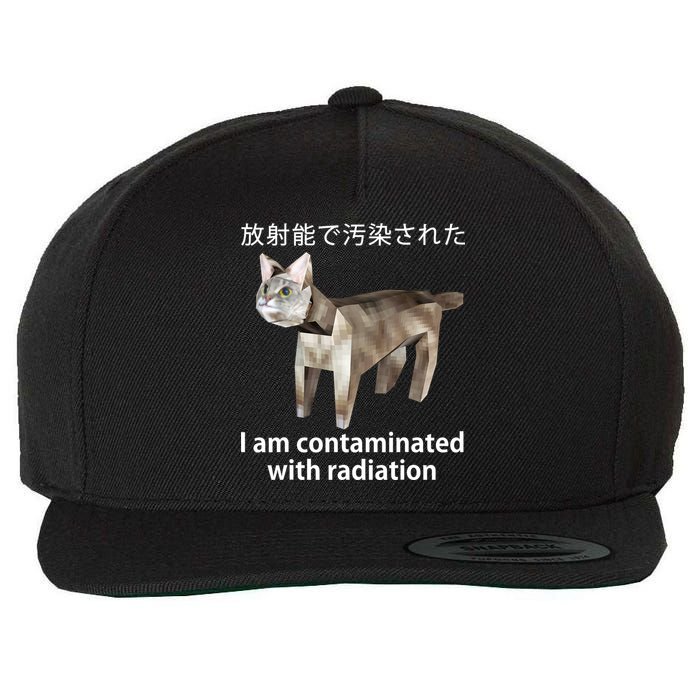 I Am Contaminated With Radiation Japanese Cat Wool Snapback Cap