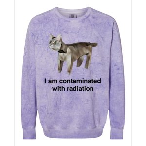 I Am Contaminated With Radiation Funny Ironic Cat Meme Colorblast Crewneck Sweatshirt