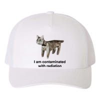 I Am Contaminated With Radiation Funny Ironic Cat Meme Yupoong Adult 5-Panel Trucker Hat