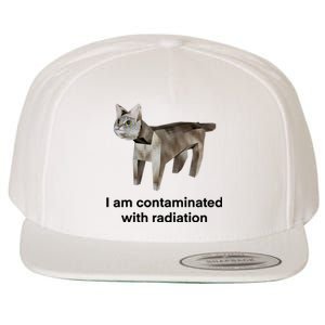 I Am Contaminated With Radiation Funny Ironic Cat Meme Wool Snapback Cap