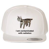 I Am Contaminated With Radiation Funny Ironic Cat Meme Wool Snapback Cap