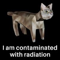 I Am Contaminated With Radiation Cat Meme Visor