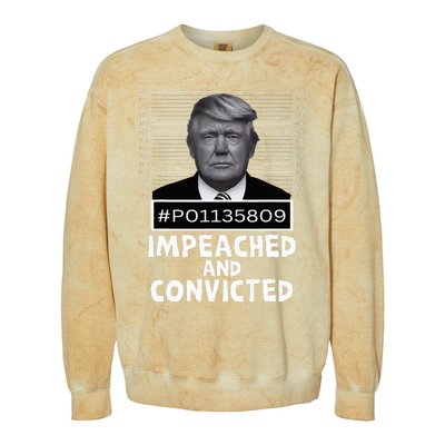 Impeached And Convicted Felon 45 Colorblast Crewneck Sweatshirt