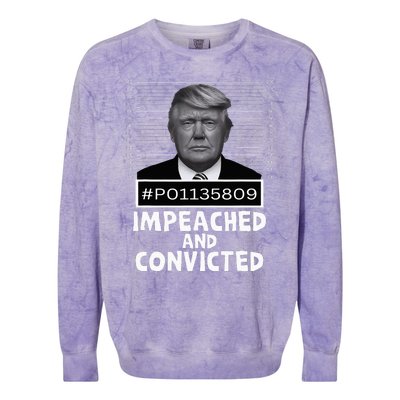 Impeached And Convicted Felon 45 Colorblast Crewneck Sweatshirt