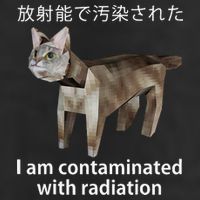 I Am Contaminated With Radiation Japanese Cat Meme Gift 11oz C Handle Ceramic Mug