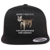 I Am Contaminated With Radiation Japanese Cat Meme Gift Flat Bill Trucker Hat