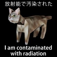I Am Contaminated With Radiation Japanese Cat Meme Gift Flat Bill Trucker Hat