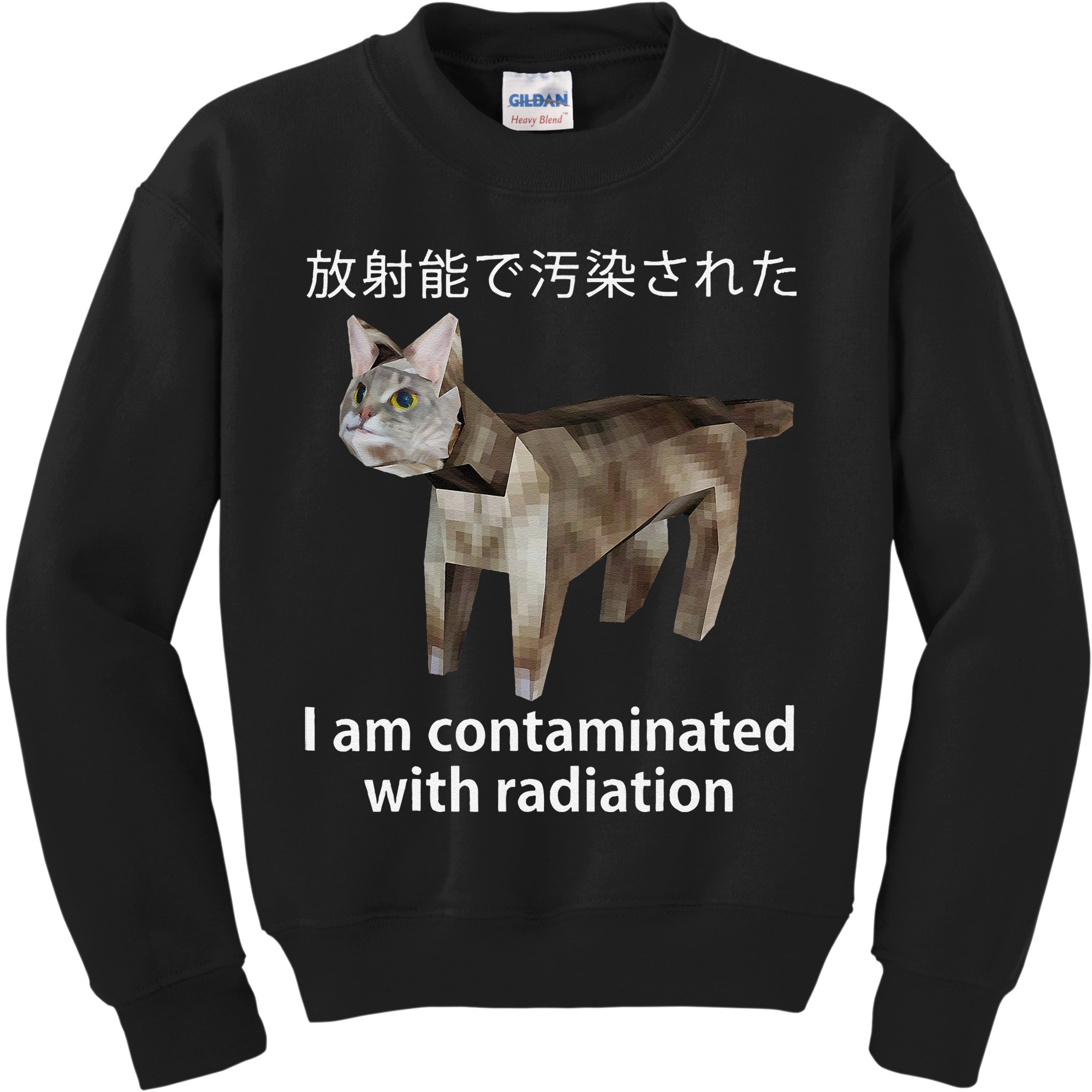 I Am Contaminated With Radiation Japanese Cat Meme Gift Kids Sweatshirt