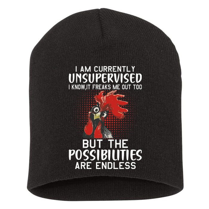 I Am Currently Unsupervised Funny Sayings Short Acrylic Beanie