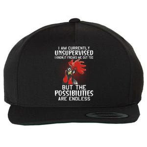 I Am Currently Unsupervised Funny Sayings Wool Snapback Cap