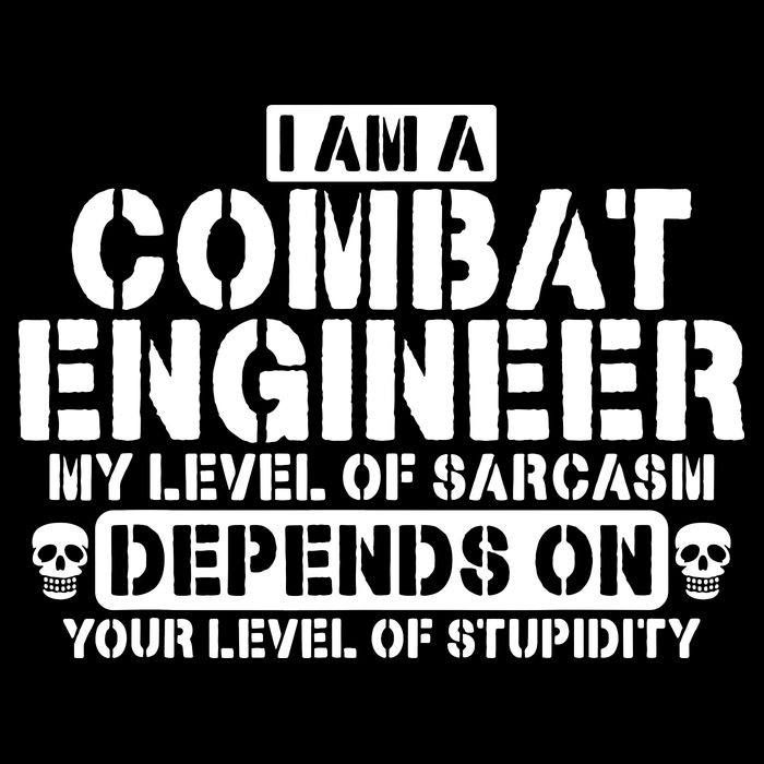 Im A Combat Engineer Funny Combat Engineering Women's Pullover Hoodie