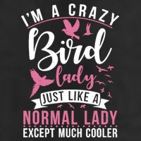 Im A Crazy Bird Lady Just Like A Normals Lady Except Cooler Adult Drive Performance Visor