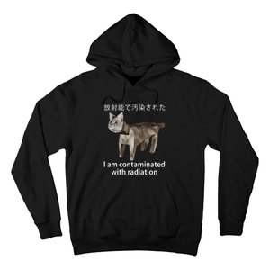 I Am Contaminated With Radiation Japanese Cat Meme Hoodie