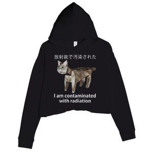 I Am Contaminated With Radiation Japanese Cat Meme Crop Fleece Hoodie