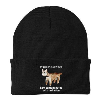 I Am Contaminated With Radiation Japanese Cat Beanie