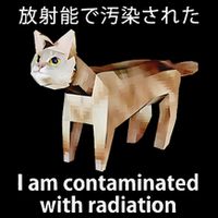 I Am Contaminated With Radiation Japanese Cat Women's Crop Top Tee