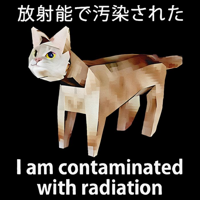 I Am Contaminated With Radiation Japanese Cat Women's Crop Top Tee