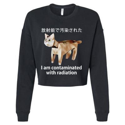 I Am Contaminated With Radiation Japanese Cat Cropped Pullover Crew