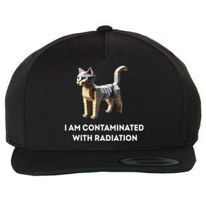 I Am Contaminated With Radiation Funny Ironic Cat Meme Wool Snapback Cap