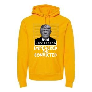 Impeached And Convicted Felon 45 Funny Anti Trump Mugshot Premium Hoodie