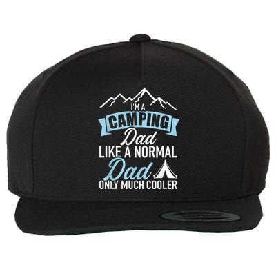 Im A Camping Dad Wool Snapback Cap