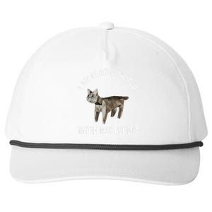 I Am Contaminated With Radiation Funny Ironic Cat Meme Snapback Five-Panel Rope Hat