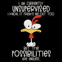 I Am Currently Unsupervised I Know, It Freaks Me Out Too Poster