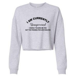 I Am Currently Unsupervised Great Gift Cropped Pullover Crew