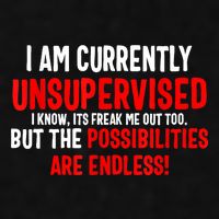I Am Currently Unsupervised Valentines Day Funny Ladies PosiCharge Tri-Blend Wicking Tank